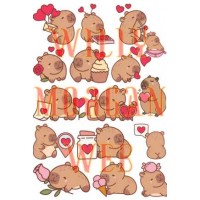 Capibara 6